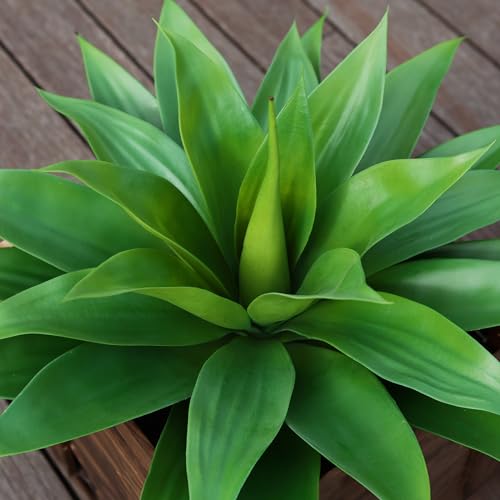 Silky Flower Store Artificial Agave Succulent Plant, Faux Decorative Greenery, 2 Pack, 28 Inch 2 2 Product: Ferrgoal Artificial Plants Fake Agave Succulent Plant 28 Inch Big Size Faux Succulents Stems for Indoor Outdoor Realistic & Natural Home Decor Plants for Office Housewarming 2 Pack