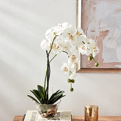 Silky Flower Store Artificial Phalaenopsis Silk Flower Arrangement, White Glass Vase, Faux Water, 29 x 10.25 x 10.25 19 19 Product: Nearly Natural 4643-WH Phalaenopsis with Glass Vase Decorative Silk Flower Arrangement, White 29 x 10.25 x 10.25