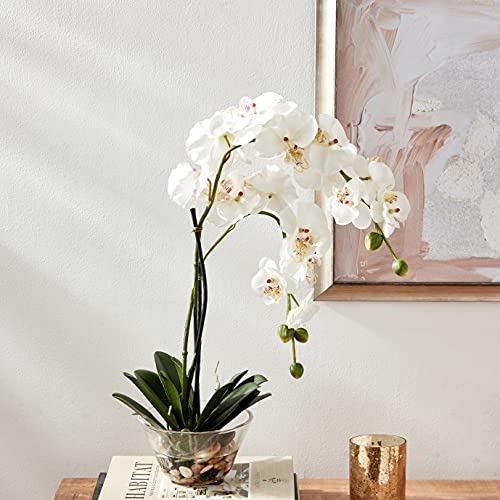 Silky Flower Store Artificial Phalaenopsis Silk Flower Arrangement, White Glass Vase, Faux Water, 29 x 10.25 x 10.25 9 9 Product: Nearly Natural 4643-WH Phalaenopsis with Glass Vase Decorative Silk Flower Arrangement, White 29 x 10.25 x 10.25
