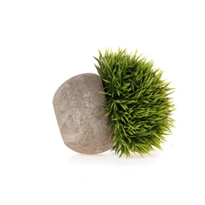 Silky Flower Store Artificial Mini Plants Grey Pot Set of 3, Home Office Wedding Decor, Faux Greenery 4.9in 14 14 Product: T4U Mini Artificial Plants in Grey Pot, Plastic Fake Green Colorful Flower Topiary Shrubs for Home Office Wedding Decoration Set of 3