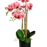 Product: Serene Spaces Living 3 Pink Realistic Phalaenopsis Orchids in Black Plastic Pot, Artificial Potted Flowers - Beautiful Entryway Vase, Foyer Table Décor, Great Gift, Measures 5" Diameter & 26" Tall