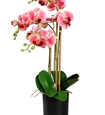 Product: Serene Spaces Living 3 Pink Realistic Phalaenopsis Orchids in Black Plastic Pot, Artificial Potted Flowers - Beautiful Entryway Vase, Foyer Table Décor, Great Gift, Measures 5" Diameter & 26" Tall