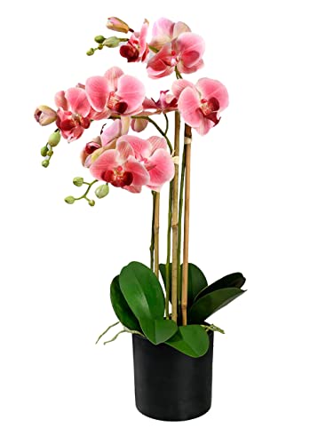 Serene Spaces Living 3 Pink Realistic Phalaenopsis Orchids in Black Plastic Pot, Artificial Potted Flowers - Beautiful Entryway Vase, Foyer Table Décor, Great Gift, Measures 5" Diameter & 26" Tall - Artificial Flower Arrangements Product: Serene Spaces Living 3 Pink Realistic Phalaenopsis Orchids in Black Plastic Pot, Artificial Potted Flowers - Beautiful Entryway Vase, Foyer Table Décor, Great Gift, Measures 5" Diameter & 26" Tall