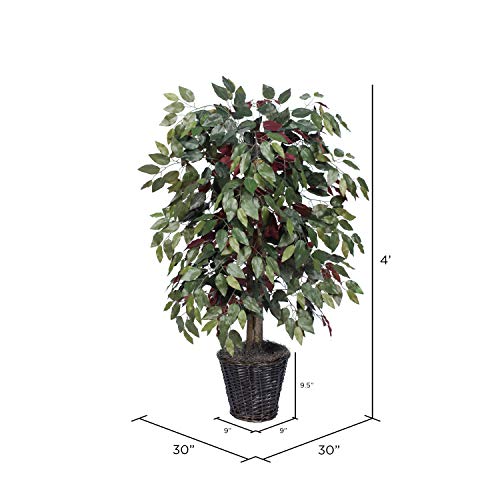 Silky Flower Store Artificial Capensia Bush, Decorative Rattan Basket, Faux Floor Plant, Indoor Greenery, 4-Feet 3 3 Product: Vickerman 4-Feet Artificial Capensia Bush in Decorative Rattan Basket