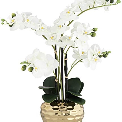 Silky Flower Store Artificial White Phalaenopsis Orchid, Silver Gold Ceramic Pot, Dahlia Studios Potted Faux Flower, 23 High 9 9 Product: Dahlia Studios Potted Faux Artificial Flowers Realistic White Phalaenopsis Orchid in Silver Gold Ceramic Pot Home Decoration Living Room Office Bedroom Bathroom Kitchen Dining Room 23" High