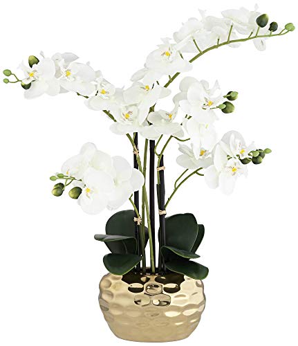 Silky Flower Store Artificial White Phalaenopsis Orchid, Silver Gold Ceramic Pot, Dahlia Studios Potted Faux Flower, 23 High 1 1 Product: Dahlia Studios Potted Faux Artificial Flowers Realistic White Phalaenopsis Orchid in Silver Gold Ceramic Pot Home Decoration Living Room Office Bedroom Bathroom Kitchen Dining Room 23" High