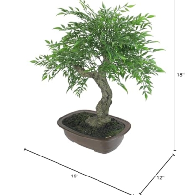 Product: Mini Bonsai Artificial Tree in a Pot - 18”