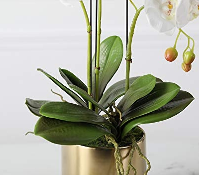 Product: Fudostar Artificial Silk Moth Orchid Flowers Potting in Matte Gold Ceramic Vase, 22'' High, Real Touch Natural Looking Phalaenopsis Flowers and Greens, Centerpiece Decor (White)