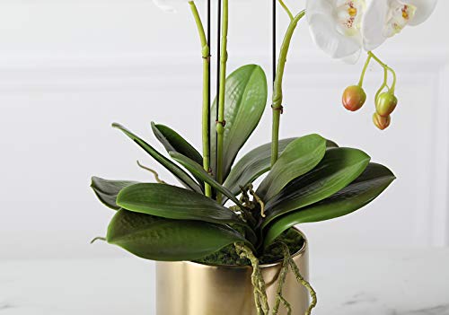 Product: Fudostar Artificial Silk Moth Orchid Flowers Potting in Matte Gold Ceramic Vase, 22'' High, Real Touch Natural Looking Phalaenopsis Flowers and Greens, Centerpiece Decor (White)