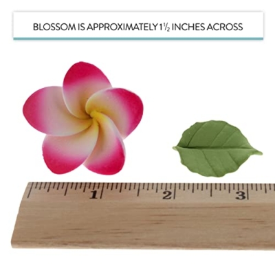 Silky Flower Store Global Sugar Art Tropical Frangipani Plumeria Edible Sugar Flowers, 24 Count, Chef Alan Tetreault, 24 Count 13 13 Product: Global Sugar Art Tropical Frangipani Plumeria Edible Sugar Flower Blossoms, Wedding Cake & Cupcake Flowers with Leaves, 24 Count by Count by Chef Alan Tetreault