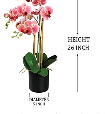 Silky Flower Store Pink Realistic Phalaenopsis Orchids, Artificial Potted Flowers in Black Plastic Pot, 26 Inch Tall, 5 Inch Diameter 11 11 Product: Serene Spaces Living 3 Pink Realistic Phalaenopsis Orchids in Black Plastic Pot, Artificial Potted Flowers - Beautiful Entryway Vase, Foyer Table Décor, Great Gift, Measures 5" Diameter & 26" Tall