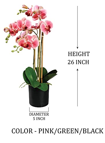 Silky Flower Store Pink Realistic Phalaenopsis Orchids, Artificial Potted Flowers in Black Plastic Pot, 26 Inch Tall, 5 Inch Diameter 3 3 Product: Serene Spaces Living 3 Pink Realistic Phalaenopsis Orchids in Black Plastic Pot, Artificial Potted Flowers - Beautiful Entryway Vase, Foyer Table Décor, Great Gift, Measures 5" Diameter & 26" Tall