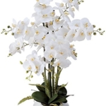 Product: Dahlia Studios Potted Faux Artificial Flowers Arrangements Realistic White Phalaenopsis Orchid in White Ceramic Pot for Home Decoration Living Room Office Bedroom Bathroom Kitchen 29" High