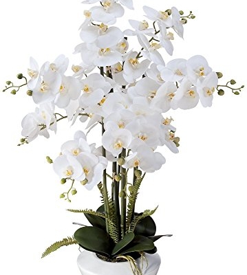Product: Dahlia Studios Potted Faux Artificial Flowers Arrangements Realistic White Phalaenopsis Orchid in White Ceramic Pot for Home Decoration Living Room Office Bedroom Bathroom Kitchen 29" High