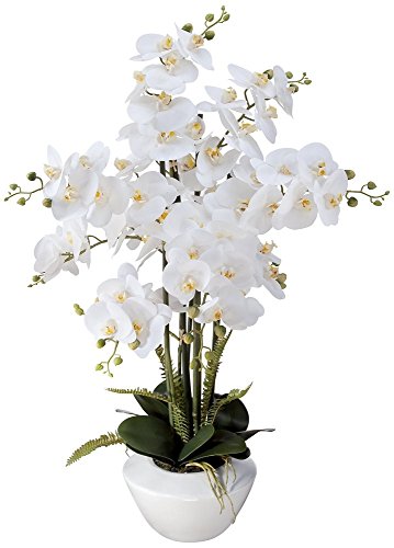 Product: Dahlia Studios Potted Faux Artificial Flowers Arrangements Realistic White Phalaenopsis Orchid in White Ceramic Pot for Home Decoration Living Room Office Bedroom Bathroom Kitchen 29" High
