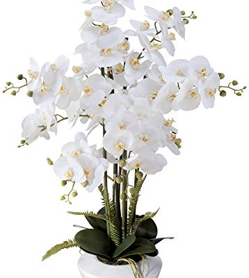 Product: Dahlia Studios Potted Faux Artificial Flowers Arrangements Realistic White Phalaenopsis Orchid in White Ceramic Pot for Home Decoration Living Room Office Bedroom Bathroom Kitchen 29" High