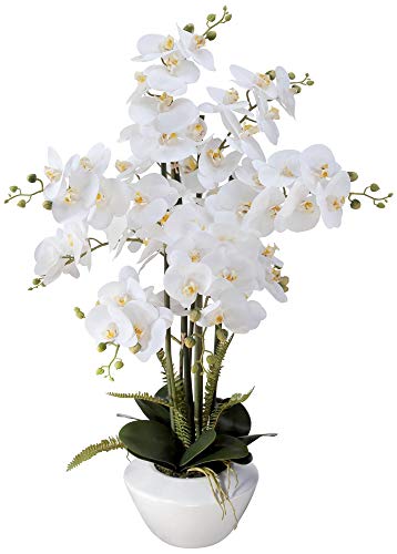 Product: Dahlia Studios Potted Faux Artificial Flowers Arrangements Realistic White Phalaenopsis Orchid in White Ceramic Pot for Home Decoration Living Room Office Bedroom Bathroom Kitchen 29" High