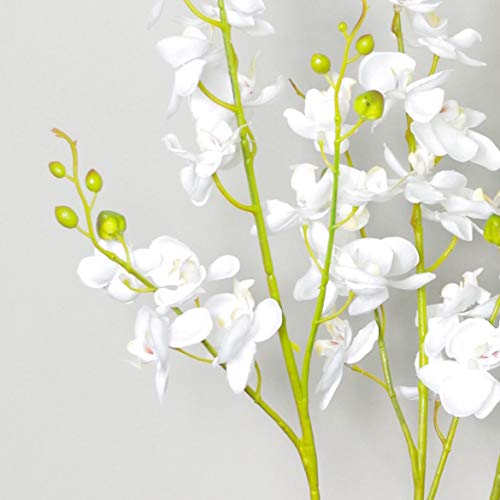 Product: Leaf Design UK Realistic Artificial Orchid Flower Display in Pot, White, 60cm