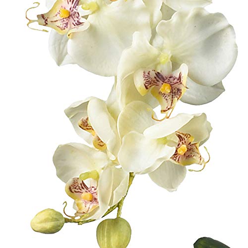 Silky Flower Store Artificial Phalaenopsis Silk Flower Arrangement, White Glass Vase, Faux Water, 29 x 10.25 x 10.25 1 1 Product: Nearly Natural 4643-WH Phalaenopsis with Glass Vase Decorative Silk Flower Arrangement, White 29 x 10.25 x 10.25