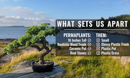 Product: Permaplants Artificial Bonsai Tree 16" Tall with Realistic Wood and Ceramic Pot Fake Plants Juniper Pine Zen Faux Plants for Home Bedroom Office Bathroom Japanese Decor