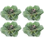 Product: Admired By Nature Faux Cabbage Artificial Vegetables Realistic Fake Food Plants Props Artificial Decorative Cabbage Plant for Home Decor Wedding Kitchen Decoration Fake Food Display, Green, 4 Pc Set