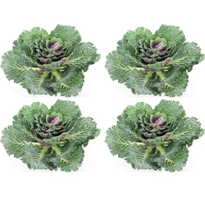 Product: Admired By Nature Faux Cabbage Artificial Vegetables Realistic Fake Food Plants Props Artificial Decorative Cabbage Plant for Home Decor Wedding Kitchen Decoration Fake Food Display, Green, 4 Pc Set