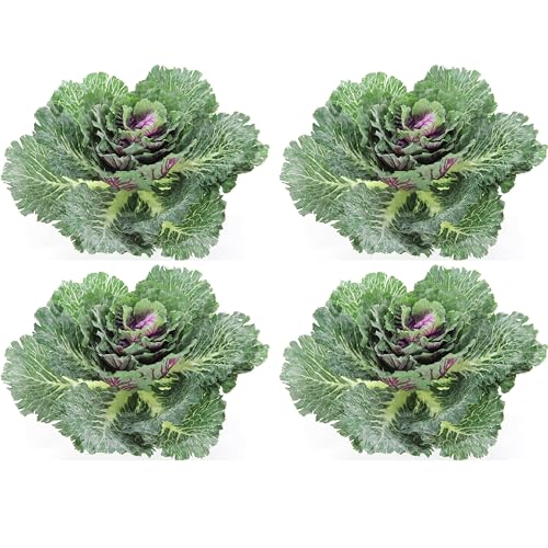 Admired By Nature Faux Cabbage Artificial Vegetables Realistic Fake Food Plants Props Artificial Decorative Cabbage Plant for Home Decor Wedding Kitchen Decoration Fake Food Display, Green, 4 Pc Set - Artificial Flower Arrangements Product: Admired By Nature Faux Cabbage Artificial Vegetables Realistic Fake Food Plants Props Artificial Decorative Cabbage Plant for Home Decor Wedding Kitchen Decoration Fake Food Display, Green, 4 Pc Set