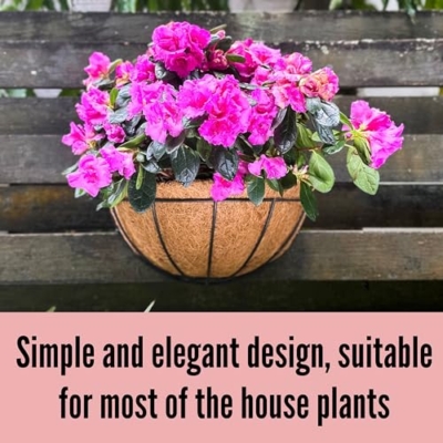 Product: LaLaGreen Large Wall Flower Baskets, 6 Pack, 16 Inch Rail Planter for Outdoor Plants, Metal Wire Plants Holders with Coco Liner Outside Fence Balcony Garden Pots Railings Hanging Deck Porch Decor