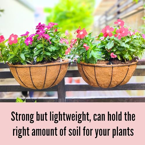 Product: LaLaGreen Large Wall Flower Baskets, 6 Pack, 16 Inch Rail Planter for Outdoor Plants, Metal Wire Plants Holders with Coco Liner Outside Fence Balcony Garden Pots Railings Hanging Deck Porch Decor