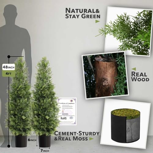 Product: Aveyas 4ft Artificial Cedar Topiary Trees for Outdoor Front Porch Door, 4 Feet Faux Potted Plants Evergreen Fake Pine Cypress Tree for Outside Home Decor (4 ft Tall) - Set of 2 Pack
