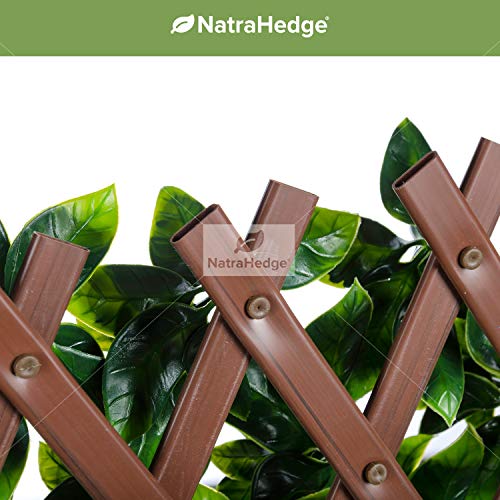 Product: NatraHedge Artificial Ficus Leaf Expandable Lattice