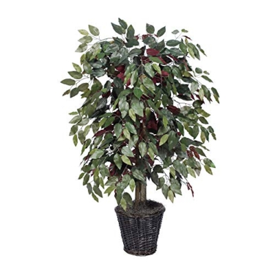 Silky Flower Store Artificial Capensia Bush, Decorative Rattan Basket, Faux Floor Plant, Indoor Greenery, 4-Feet 6 6 Product: Vickerman 4-Feet Artificial Capensia Bush in Decorative Rattan Basket
