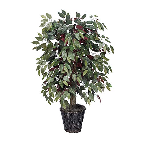 Vickerman 4-Feet Artificial Capensia Bush in Decorative Rattan Basket - Artificial Flower Arrangements Product: Vickerman 4-Feet Artificial Capensia Bush in Decorative Rattan Basket