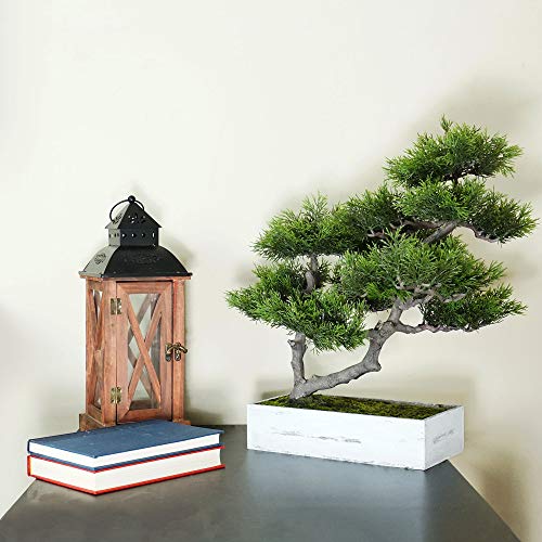 Product: Northlight Seasonal 18 in. Artificial Japanese Bonsai Tree Box
