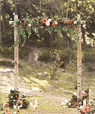 Silky Flower Store Fall Artificial Wedding Arch Flower Garland, Orange Eucalyptus Rose Backdrop Decorations, 6.5ft 11 11 Product: Ling's Moment 6.5FT Backdrop Flower Garland Decorations, Fall Artificial Wedding Arch Flowers, Orange Ceremony Reception Hanging Eucalyptus Rose Arbor Arrangement Outdoor Party Floral Swag