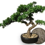 Product: Permaplants Artificial Bonsai Tree 16" Tall with Realistic Wood and Ceramic Pot Fake Plants Juniper Pine Zen Faux Plants for Home Bedroom Office Bathroom Japanese Decor