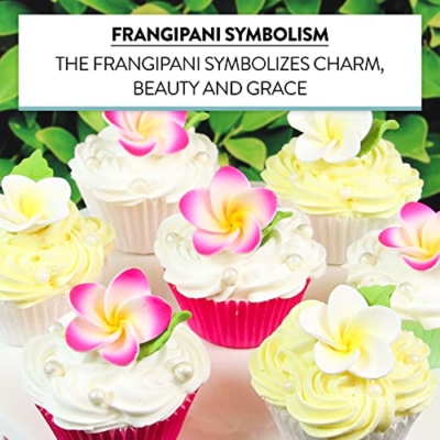 Silky Flower Store Global Sugar Art Tropical Frangipani Plumeria Edible Sugar Flowers, 24 Count, Chef Alan Tetreault, 24 Count 12 12 Product: Global Sugar Art Tropical Frangipani Plumeria Edible Sugar Flower Blossoms, Wedding Cake & Cupcake Flowers with Leaves, 24 Count by Count by Chef Alan Tetreault