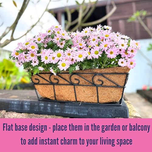 Product: LaLaGreen Wall Mounted Planters - 16 Inch, 4 Pack Window Flower Boxes Basket Outdoor, Balcony Planter Over The Rail, Deck Railing Hanging with Coco Liners, Metal Horse Troughs Fence Patio Porch
