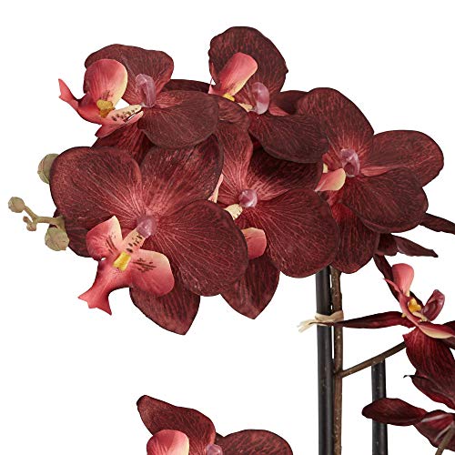 Silky Flower Store Artificial Red Orchid Arrangement, Studio 55D Potted Silk Faux Flower in Crackle Gray Vase, 24 High 2 2 Product: Studio 55D Potted Silk Faux Artificial Flower Arrangement Realistic Red Orchid in Crackle Gray Vase for Home Decoration Living Room Office Bedroom Bathroom Kitchen Dining Room 24" High