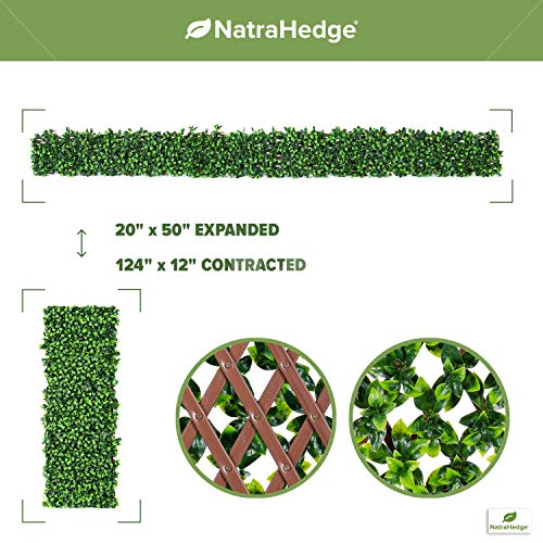 Product: NatraHedge Artificial Ficus Leaf Expandable Lattice