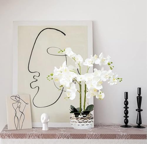 Silky Flower Store Artificial Orchid Flowers Silver Vase, White Phalaenopsis Centerpiece, Faux Floral Arrangement 20.5cm 1 1 Product: GXLMII Orchid Artificial Flowers for Home Decor, Faux Orchids with Silver Vase Phalaenopsis Fake Flowers Real Touch Flowers Plants White Orquideas Arrangements in Pot Table Centerpiece Decoration