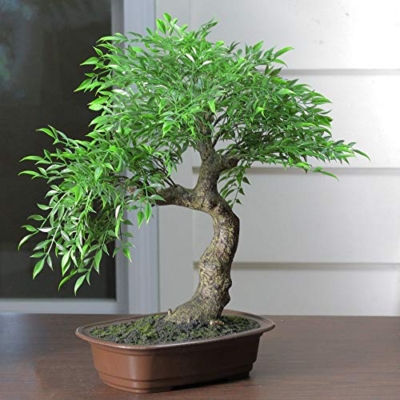 Product: Mini Bonsai Artificial Tree in a Pot - 18”