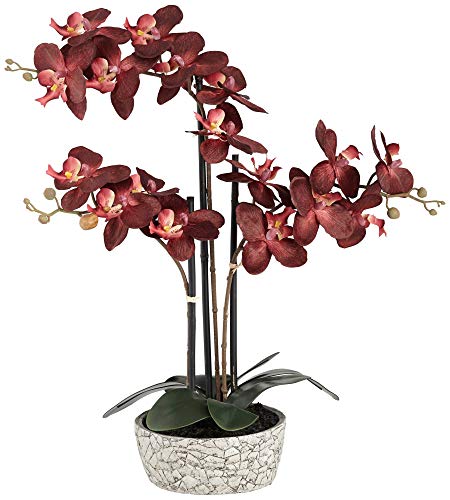 Silky Flower Store Artificial Red Orchid Arrangement, Studio 55D Potted Silk Faux Flower in Crackle Gray Vase, 24 High 1 1 Product: Studio 55D Potted Silk Faux Artificial Flower Arrangement Realistic Red Orchid in Crackle Gray Vase for Home Decoration Living Room Office Bedroom Bathroom Kitchen Dining Room 24" High