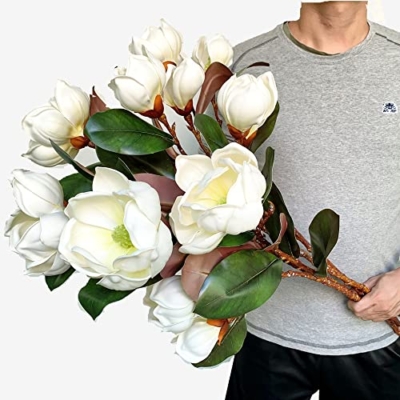 Silky Flower Store Artificial Magnolia Flowers Branches, Lifelike White Magnolia Stems, Pack of 4, 30in 7 7 Product: Dophinena Artificial Magnolia Flowers Branches Lifelike White Magnolia Stems for Home Decor Wedding Bouquet Table Centerpieces Floral Arrangment (Pack of 4pcs)