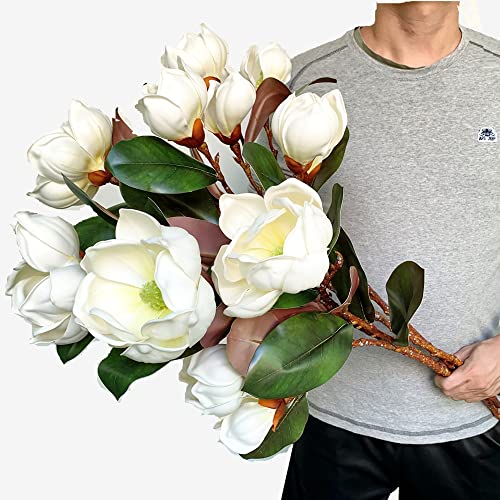 Silky Flower Store Artificial Magnolia Flowers Branches, Lifelike White Magnolia Stems, Pack of 4, 30in 1 1 Product: Dophinena Artificial Magnolia Flowers Branches Lifelike White Magnolia Stems for Home Decor Wedding Bouquet Table Centerpieces Floral Arrangment (Pack of 4pcs)