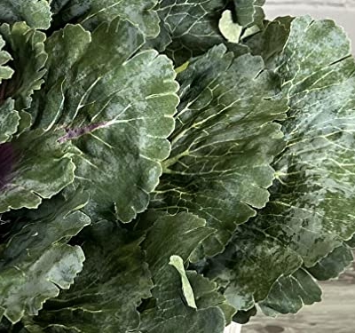 Silky Flower Store Faux Cabbage Artificial Vegetables, Green Decorative Produce, 4 Piece Set, Indoor Faux Farmhouse Décor, 20.5cm 8 8 Product: Admired By Nature Faux Cabbage Artificial Vegetables Realistic Fake Food Plants Props Artificial Decorative Cabbage Plant for Home Decor Wedding Kitchen Decoration Fake Food Display, Green, 4 Pc Set