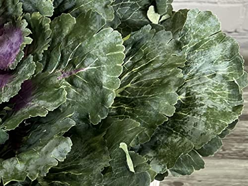 Silky Flower Store Faux Cabbage Artificial Vegetables, Green Decorative Produce, 4 Piece Set, Indoor Faux Farmhouse Décor, 20.5cm 3 3 Product: Admired By Nature Faux Cabbage Artificial Vegetables Realistic Fake Food Plants Props Artificial Decorative Cabbage Plant for Home Decor Wedding Kitchen Decoration Fake Food Display, Green, 4 Pc Set