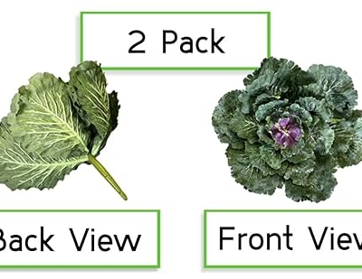 Silky Flower Store Faux Cabbage Artificial Vegetables, Green Decorative Produce, 4 Piece Set, Indoor Faux Farmhouse Décor, 20.5cm 6 6 Product: Admired By Nature Faux Cabbage Artificial Vegetables Realistic Fake Food Plants Props Artificial Decorative Cabbage Plant for Home Decor Wedding Kitchen Decoration Fake Food Display, Green, 4 Pc Set