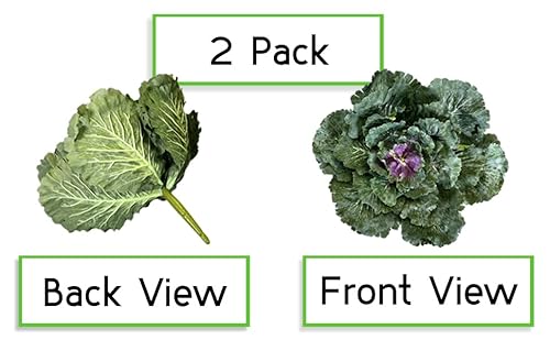 Silky Flower Store Faux Cabbage Artificial Vegetables, Green Decorative Produce, 4 Piece Set, Indoor Faux Farmhouse Décor, 20.5cm 1 1 Product: Admired By Nature Faux Cabbage Artificial Vegetables Realistic Fake Food Plants Props Artificial Decorative Cabbage Plant for Home Decor Wedding Kitchen Decoration Fake Food Display, Green, 4 Pc Set