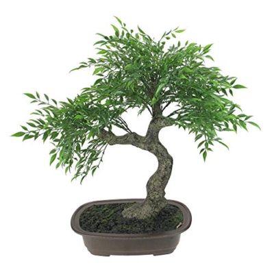 Product: Mini Bonsai Artificial Tree in a Pot - 18”